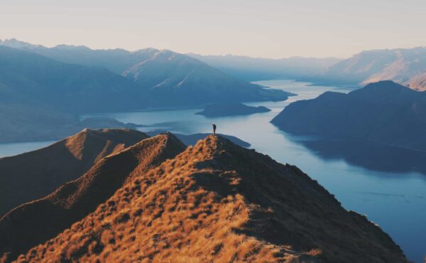How to display a widget on specific post types