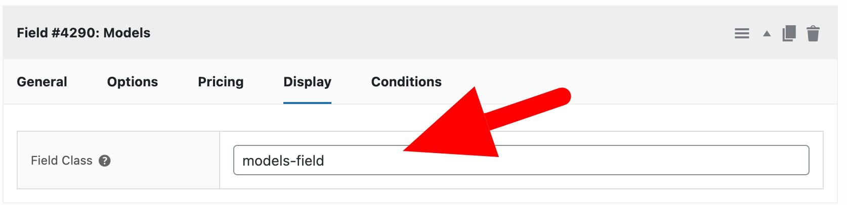 Custom field class setting for product add-ons