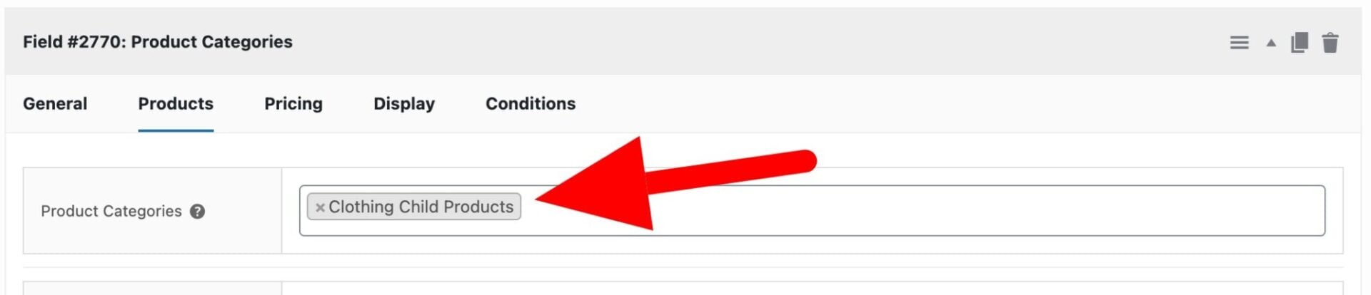 Setting product categories field x.jpg