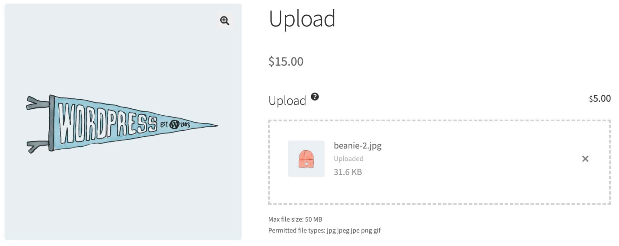 Upload fields - Plugin Republic