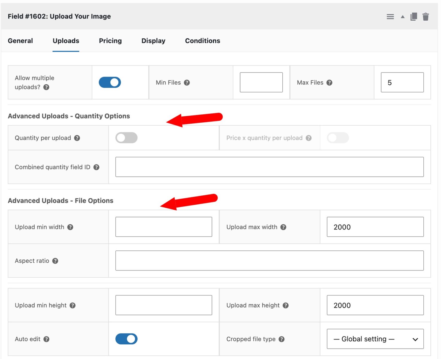 Settings for Advanced Uploads for WooCommerce Product Add-Ons Ultimate
