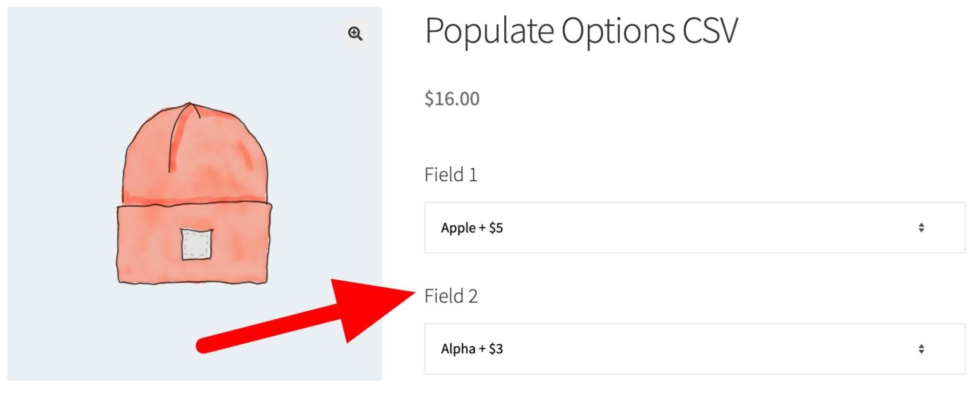 WooCommerce Product Add-Ons field dynamically populated by values from CSV file