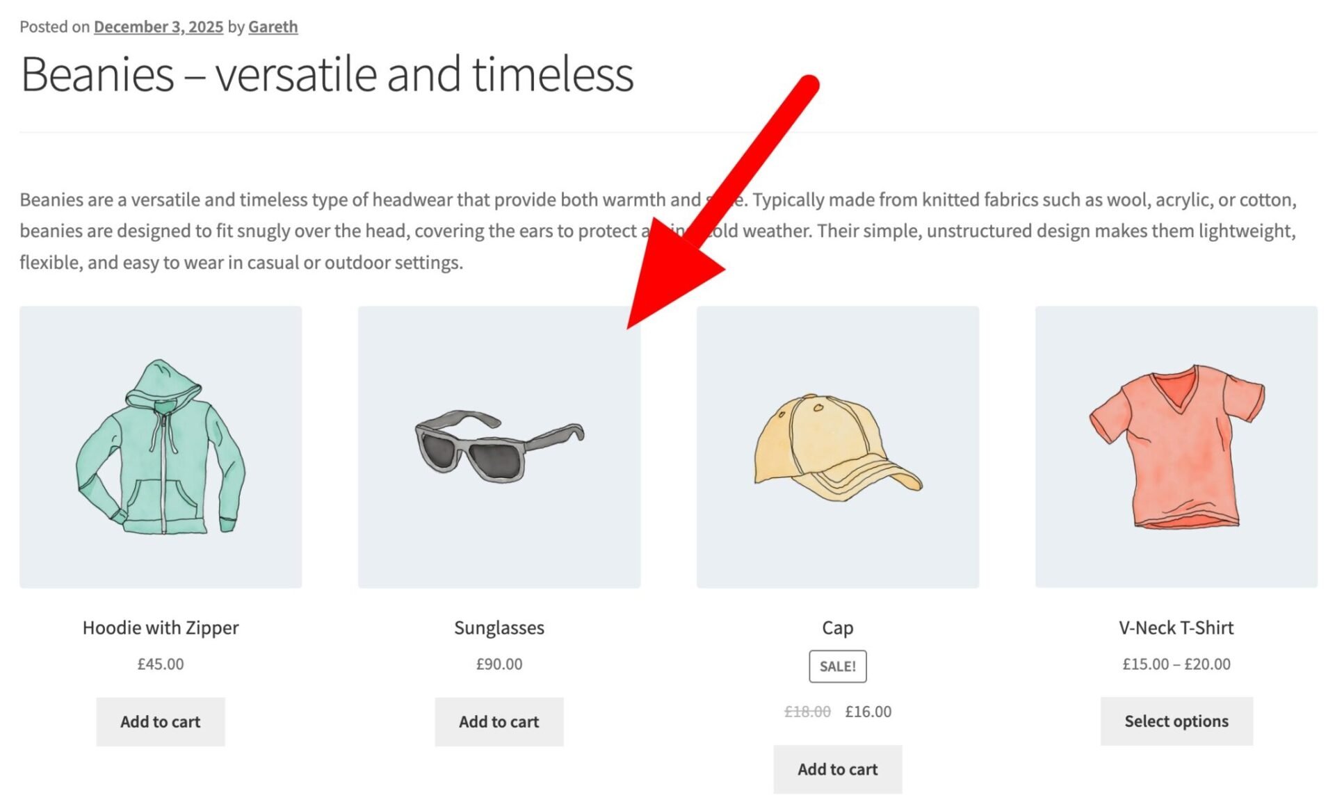 Featured products displayed in blog post