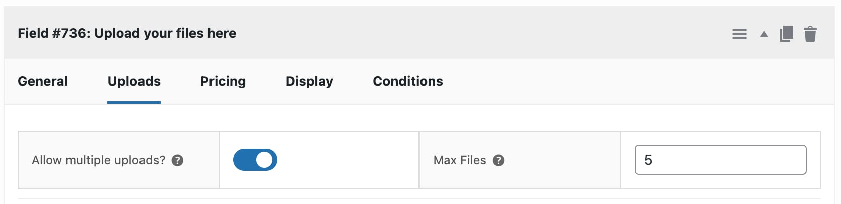 Additional settings for file upload field